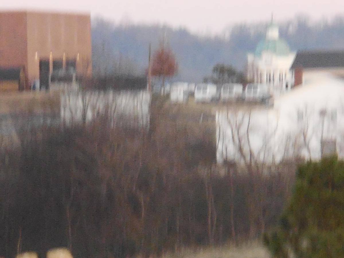 Giles Hotel Inn And Suites Pulaski Dış mekan fotoğraf